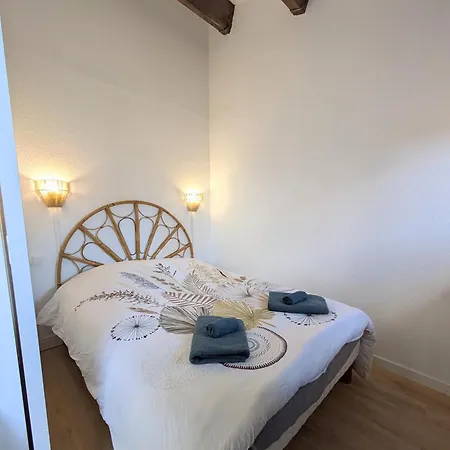 Maisonnette Bord De Lagune Et St Cyprien Saint-Cyprien (Pyrenees-Orientales)